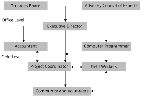 organogram